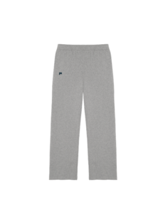Спортивные брюки мужские PANGAIA 14 серые M