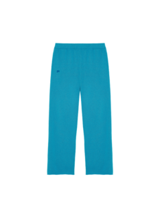 Спортивные брюки мужские PANGAIA 14 голубые XL