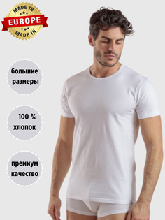 Футболка мужская Enrico Coveri EM1100 белая 3XL