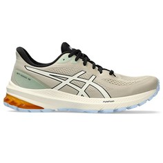 Спортивные кроссовки мужские Asics GT-1000 бежевые 12 US