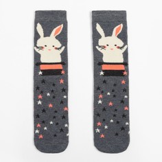 Носки женские Collorista Животные серые 23-25