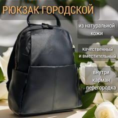 Рюкзак 2009 черный, 34х30х12 см No Brand