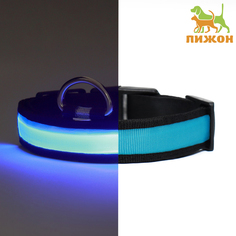 Ошейник для собак Пижон с подсветкой Flash, синий, текстиль, 35-43 х 2,5 см