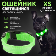 Ошейник светящийся для собак AT светодиодный зеленого, XS - 2,0х28-40 см