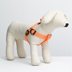 Шлейка для собак Пижон, светящаяся, оранжевая, текстиль, размер L, обхват груди 43-60 см