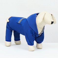 Комбинезон для собак Пижон с подкладом, унисекс, синий, полиэстер, длина спины 25 см