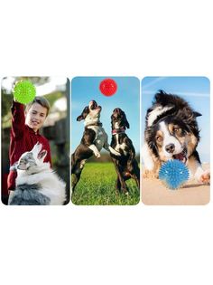 Игрушка для животных COSY Мяч игольчатый с пищалкой, красный+синий+зеленый, TPR, 10см 3 шт