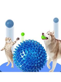 Игрушка для животных COSY Мяч игольчатый, с пищалкой, синий+зеленый, TPR, 10 см 2 шт