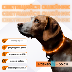 Ошейник для собак с LED-подсветкой ZDK Walk, оранжевый, силикон, 55 см