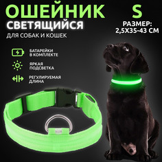 Ошейник светящийся для собак AT светодиодный зеленого, S - 2,5х35-43 см