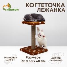 Когтеточка Пижон Полка коричневая 30х30х40 см