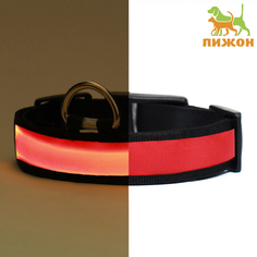 Ошейник для собак Пижон с подсветкой Flash, красный, текстиль, 40-48 х 2,5 см