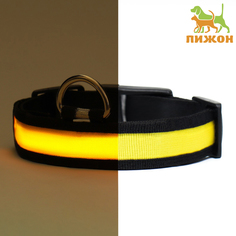 Ошейник для собак Пижон с подсветкой Flash, желтый, текстиль, 35-43 х 2,5 см