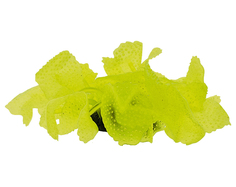 Коралл для аквариума Vitality силиконовый желтый 5,5х5,5х12 см