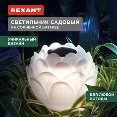 Садовый светильник Rexant 602-2431 1 шт