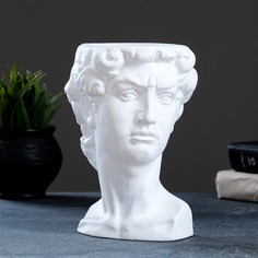 Фигурное кашпо Хорошие сувениры 7353365, Давид, белый, 15х16х21 см.