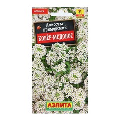 Семена Цветов Алиссум "Ковер-медонос", 0,1 г (4 шт.) Агрофирма АЭЛИТА