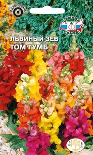 Семена львиный зев СеДек Том Тумб 1629 1 уп.