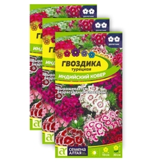 Комплект Семена Гвоздика турец. Индийск. Ковер Семена Алтая двулет. 23-01874 0,2г в уп,3уп