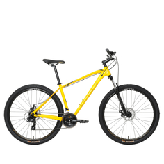 Велосипед Welt Raven 1,0 D 29 2024 20 dark yellow