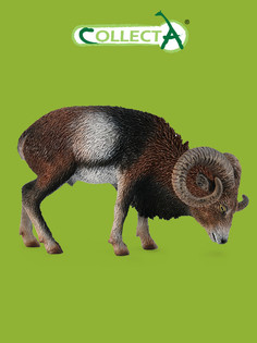 Фигурка животного Collecta, Европейский муфлон