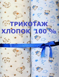 Набор детских пеленок Велли 2 шт трикотаж, размер 90х120см, голубой Welly