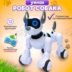 Робот-собака на радиоуправлении No Brand