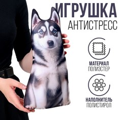 Мягкая игрушка Mni Mnu Хаски 9748664 Антистресс, 30 см