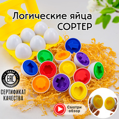 Сортер Chilink Яйца в контейнере Сложные формы
