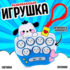 Развивающая игрушка Дружочек звуковая со световыми эффектами No Brand