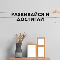 Гирлянда-растяжка Развивайся и достигай VN290 черная No Brand