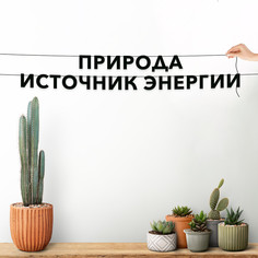 Гирлянда-растяжка Природа источник энергии VN253 черная No Brand