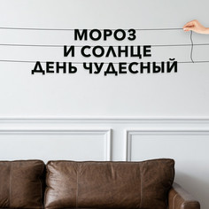Гирлянда-растяжка Мороз и солнце, день чудесный VN323 черная No Brand