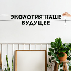Гирлянда-растяжка Экология - наше будущее VN249 черная No Brand