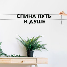 Гирлянда-растяжка Спина - путь к душе VN527 черная No Brand
