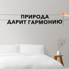 Гирлянда-растяжка Природа дарит гармонию VN250 черная No Brand