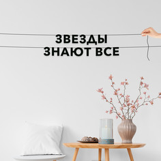 Гирлянда-растяжка Звезды знают все VN352 черная No Brand