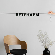 Гирлянда-растяжка Ветенары VN716 черная No Brand