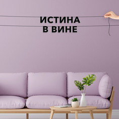 Гирлянда-растяжка Истина в вине VN070 черная No Brand