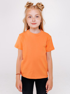 Футболка детская Batik 01374_BAT, оранжевый, 110 Батик