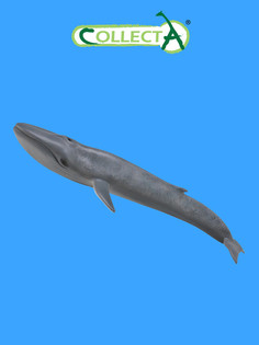 Фигурка Collecta Голубой кит XL
