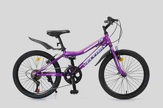 Велосипед детский VELTORY 20V-906, фиоловый, рост 120-140 см, 7-10 л