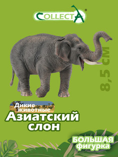 Фигурка животного Collecta, Азиатский слон