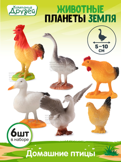 Игровой набор Компания друзей Домашние птицы Животные планеты Земля, 6 фигурок, JB0207201