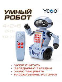 Интерактивный робот YCOO DR7