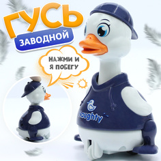 Развивающая игрушка Гусь синий No Brand