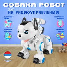 Интерактивная собака-робот DGMedia, голубой