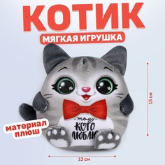 Мягкая игрушка Milotoys Тому кого люблю котик