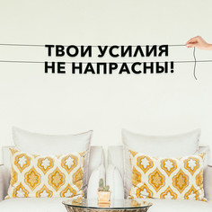 Гирлянда-растяжка Твои усилия не напрасны! VN428 черная No Brand