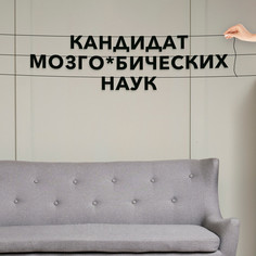 Гирлянда-растяжка Кандидат мозго*бических наук VN754 черная No Brand